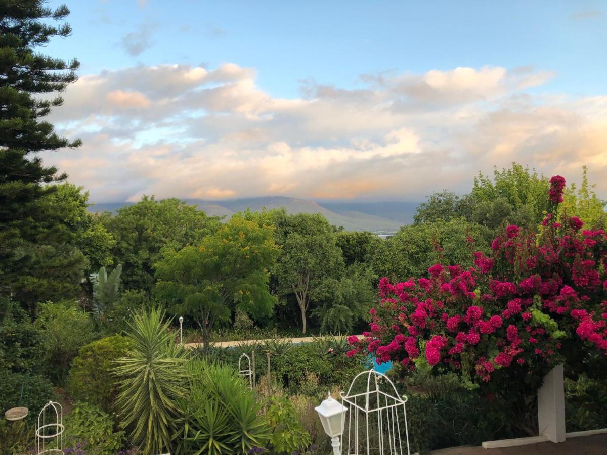 Alba House Guest House Paarl Buitenkant foto