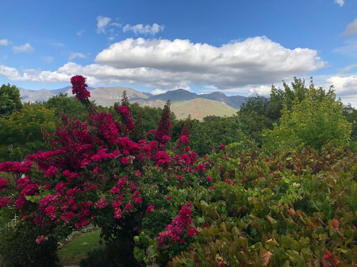 Alba House Guest House Paarl Buitenkant foto